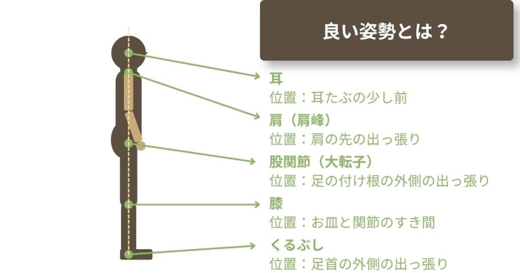 良い姿勢を説明した図。骨の軸が一直線で垂直に立てている。