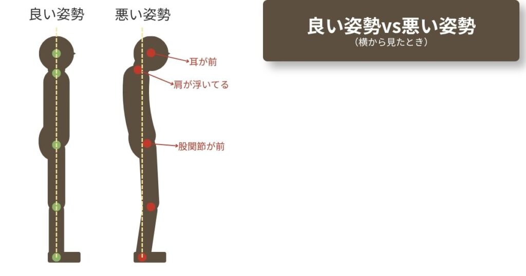 横から見た良い姿勢と悪い姿勢の比較図。良い姿勢は耳・肩・股関節・膝・くるぶしが一直線、悪い姿勢は耳・肩・股関節が前に出ている。