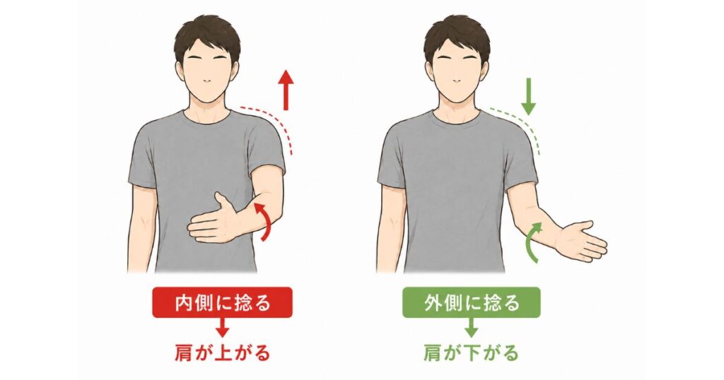 腕を内側に捻ると肩が上がり、外側に捻ると肩が下がることを矢印で示した図