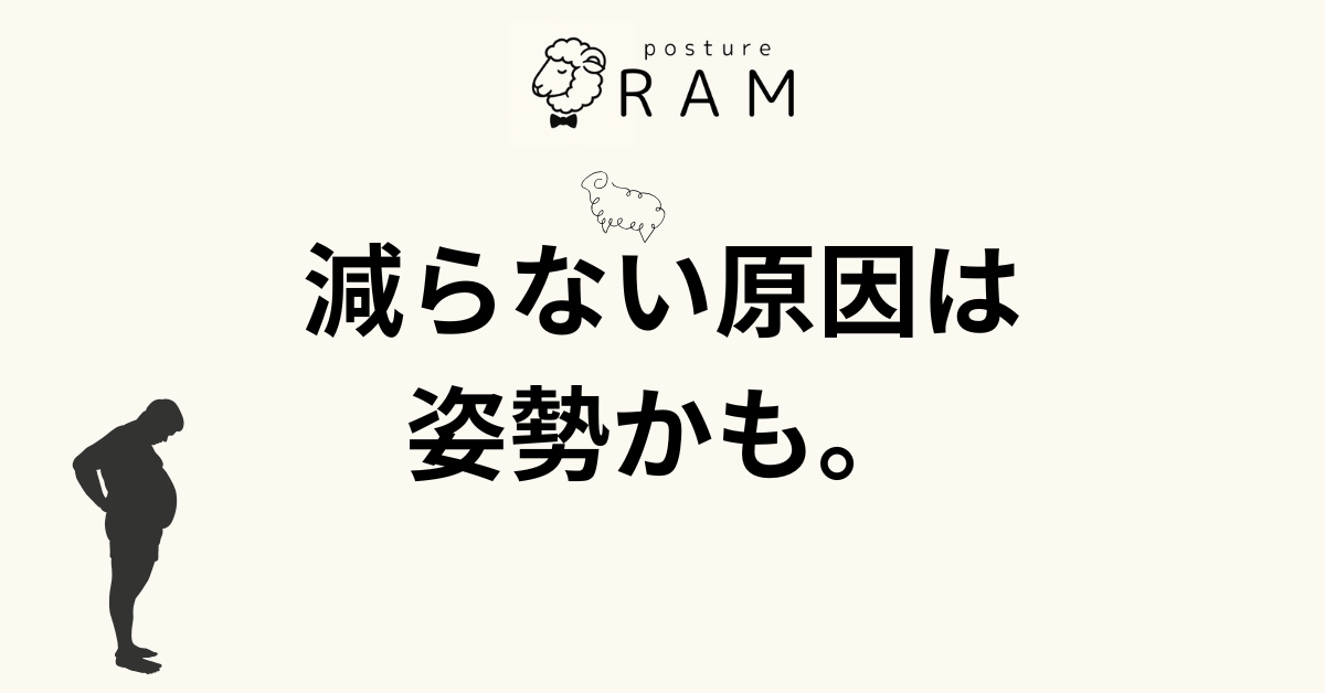 あなたが現在見ているのは ダイエットしても減らないぽっこりお腹、呼吸とインナーマッスルで解決？
