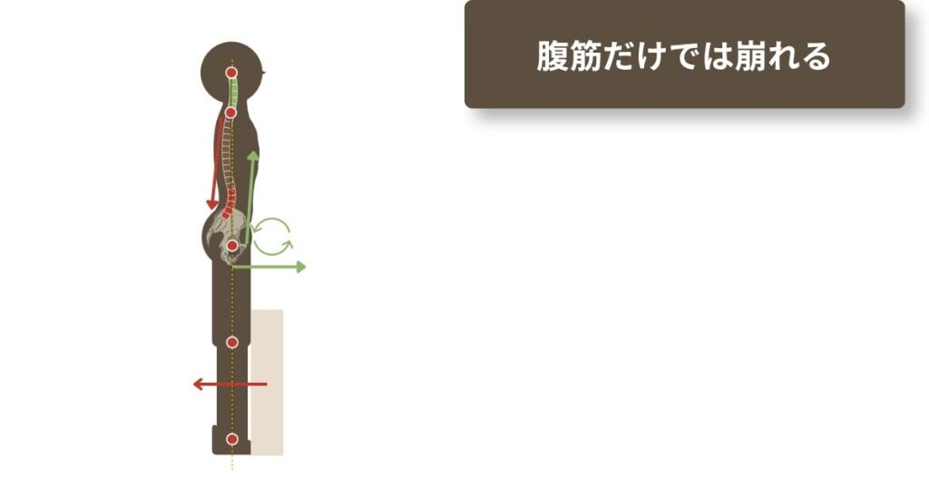 良い姿勢の画像。腹筋だけで戻すと姿勢が崩れることを示す図