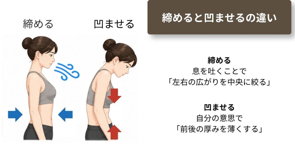 体幹を締めるとお腹を凹ますの違いを表したイラスト。