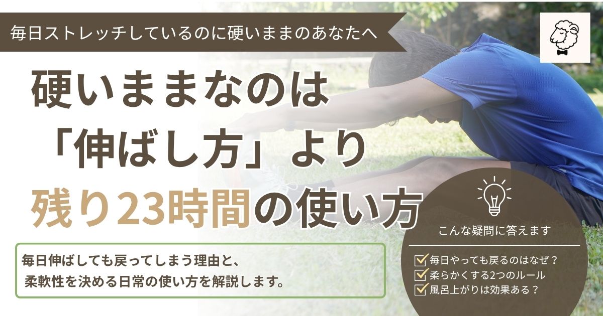 毎日ストレッチしても柔らかくならない理由を解説する記事のアイキャッチ