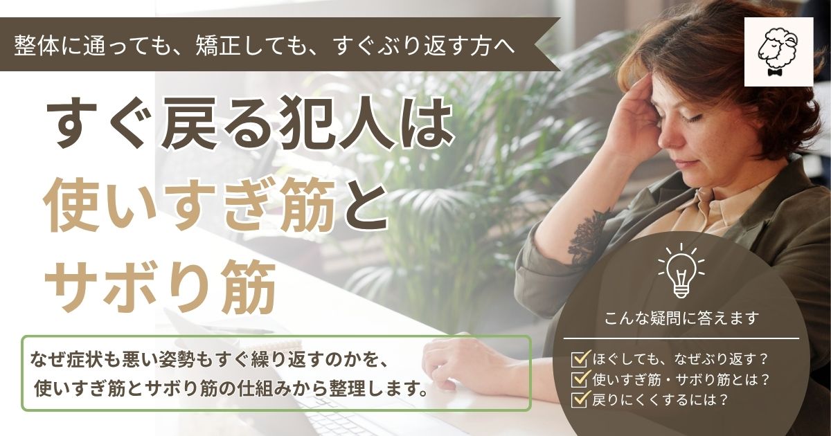 揉んでもほぐしても痛みやこりがすぐぶり返す理由を使いすぎ筋とサボり筋から解説するアイキャッチ画像