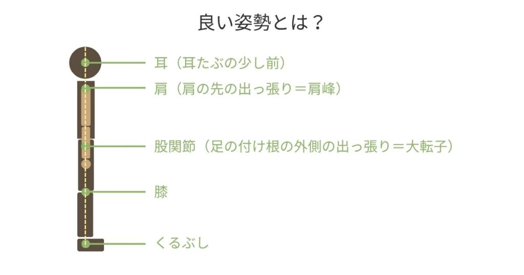 良い姿勢の説明図。耳（耳たぶの少し前）・肩（肩の先の出っ張り＝肩峰）・股関節（足の付け根の外側の出っ張り＝大転子）・膝・くるぶし（外くるぶしの少し前あたりを通ります）が一直線かつ、垂直にたっている。